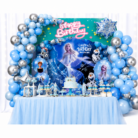 Frozen Themed Full Birthday Party Kit